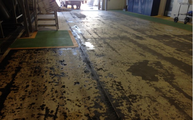 Ferrari Christchurch