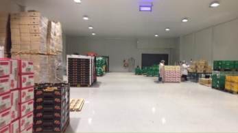 Ferrari Christchurch